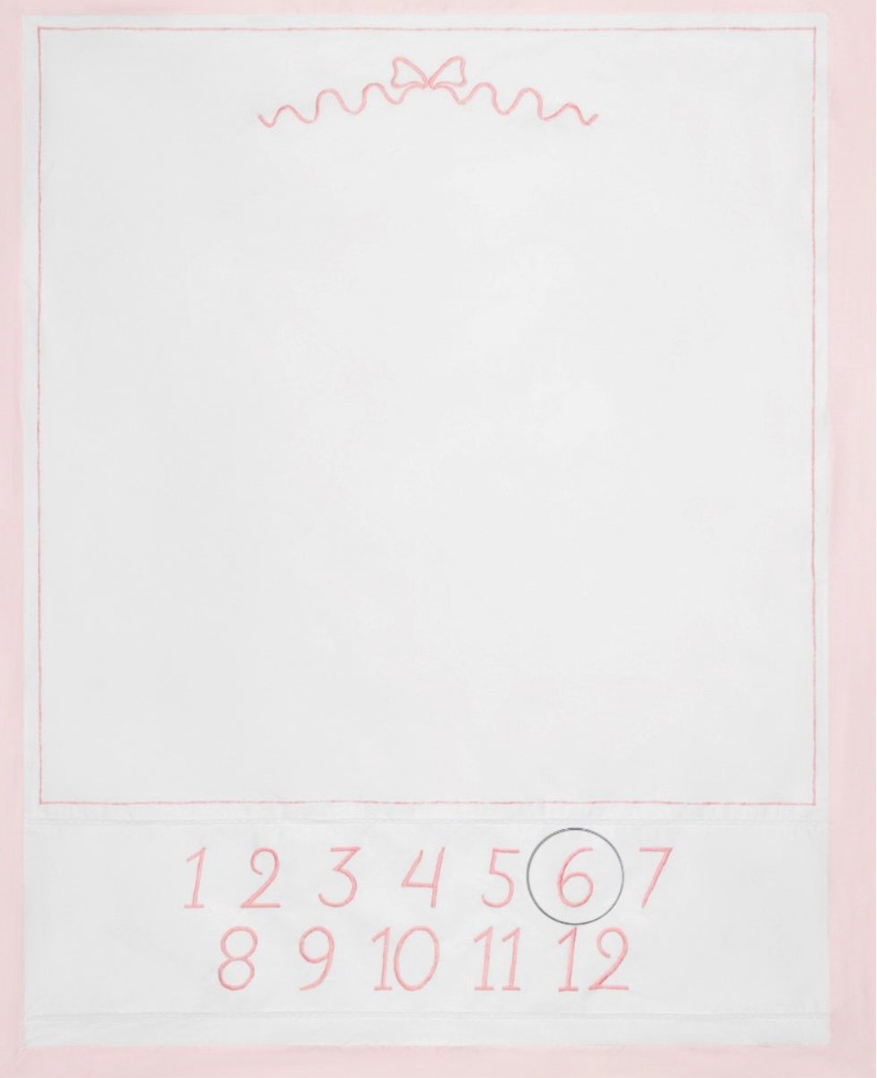 Feltman Bros Baby Girl Milestone Blanket