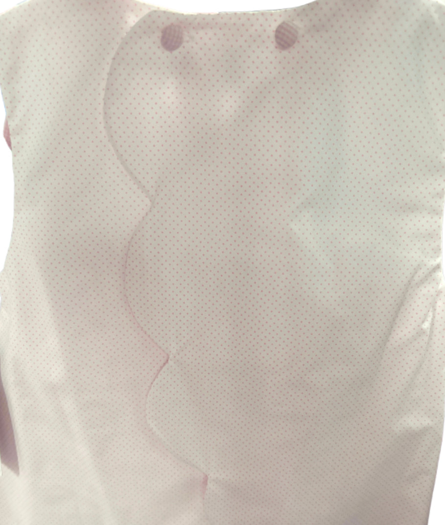 Butterfly Appliqué Pink Dot Scallop Swing Back Short Set