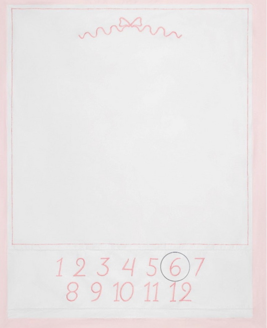 Feltman Bros Baby Girl Milestone Blanket