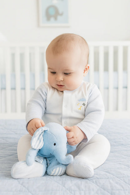 Animal Mobile Baby Boy Footie