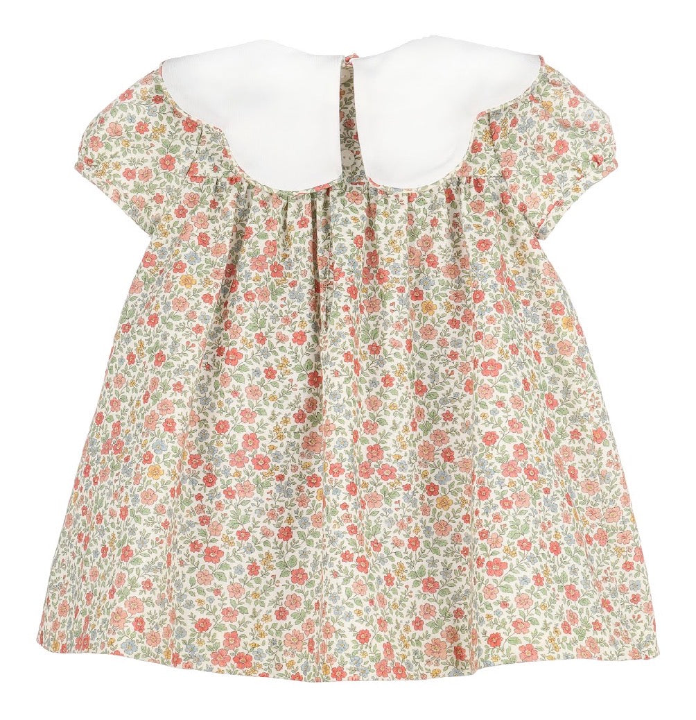 Fall Floral Scalloped Collar Dress