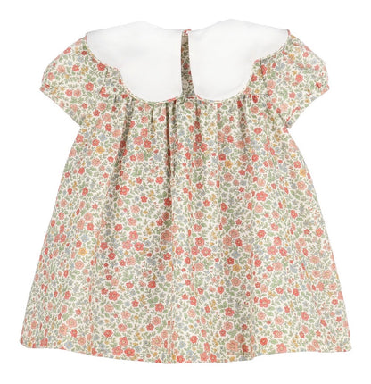 Fall Floral Scalloped Collar Dress