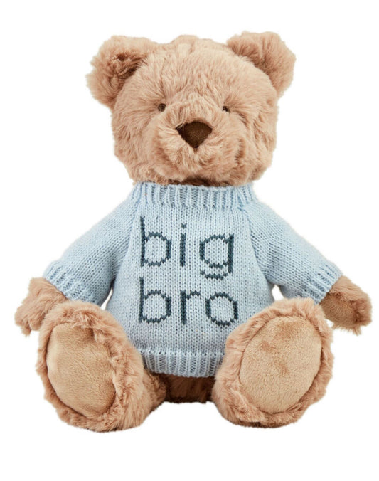 Big Bro Plush Bear