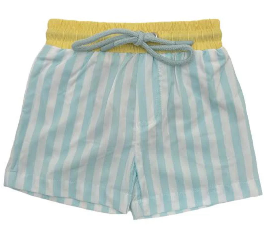 Light Blue and White Swim Shorts