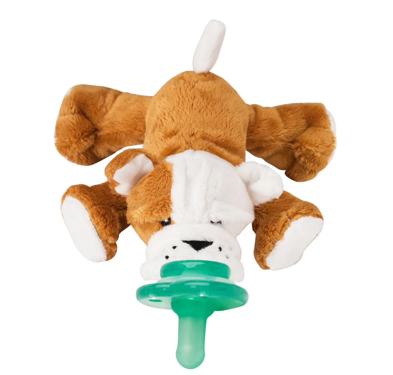 Nookums Pacis