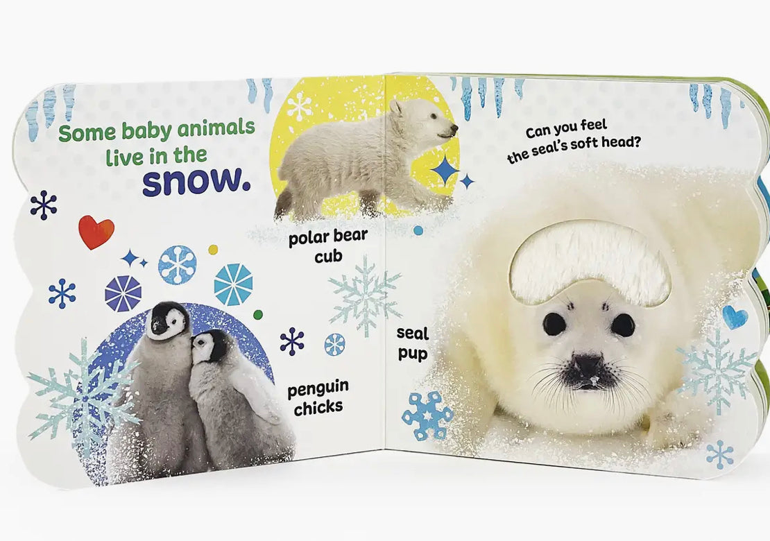 Baby Animals Book