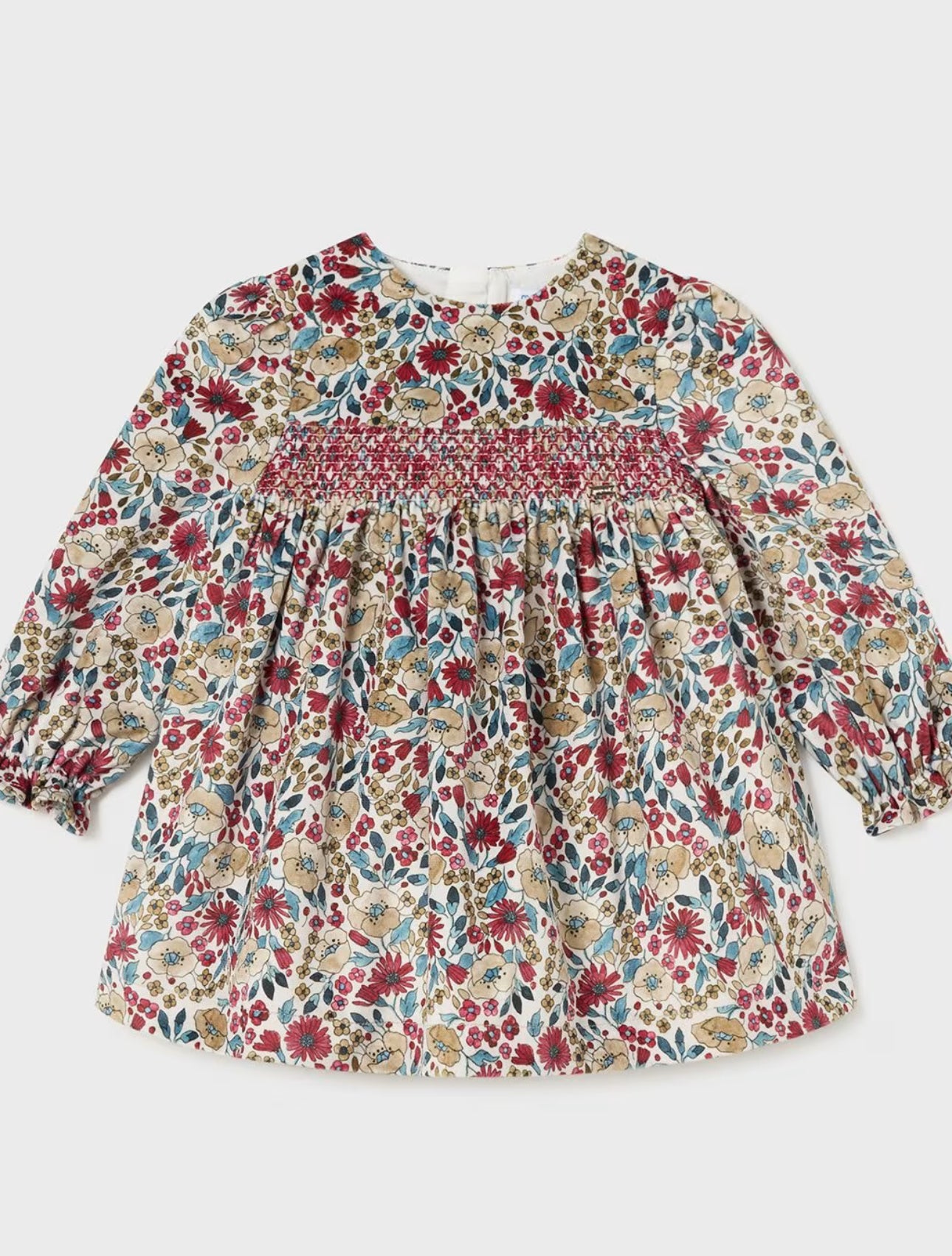 Baby Floral Printed Velvet Dress