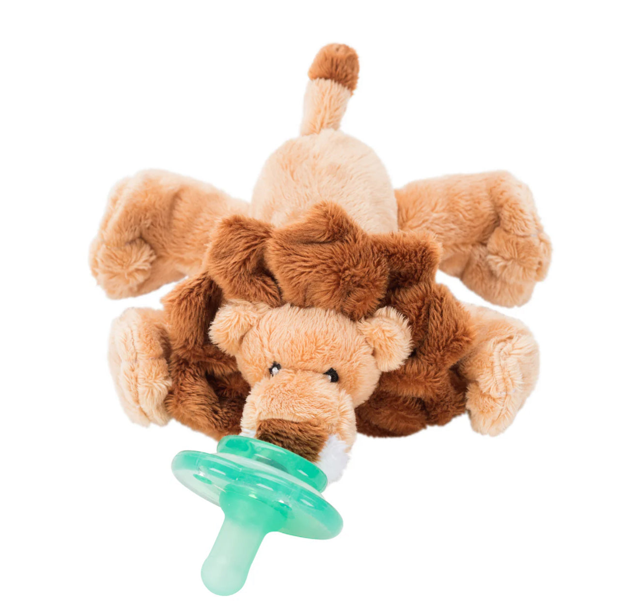 Nookums Pacis