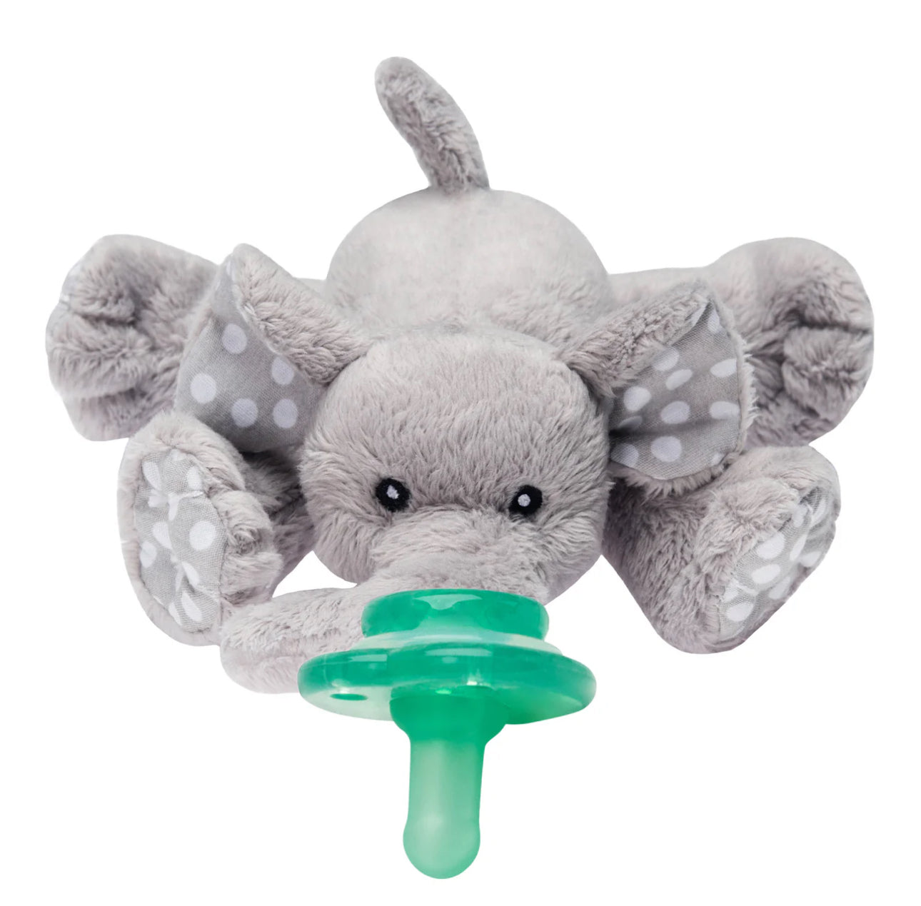 Nookums Pacis