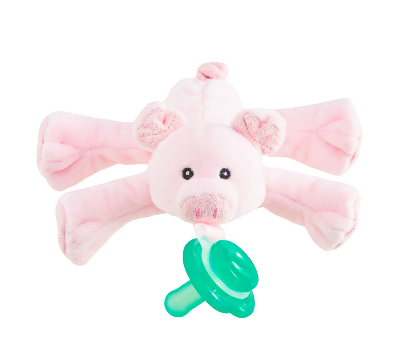 Nookums Pacis