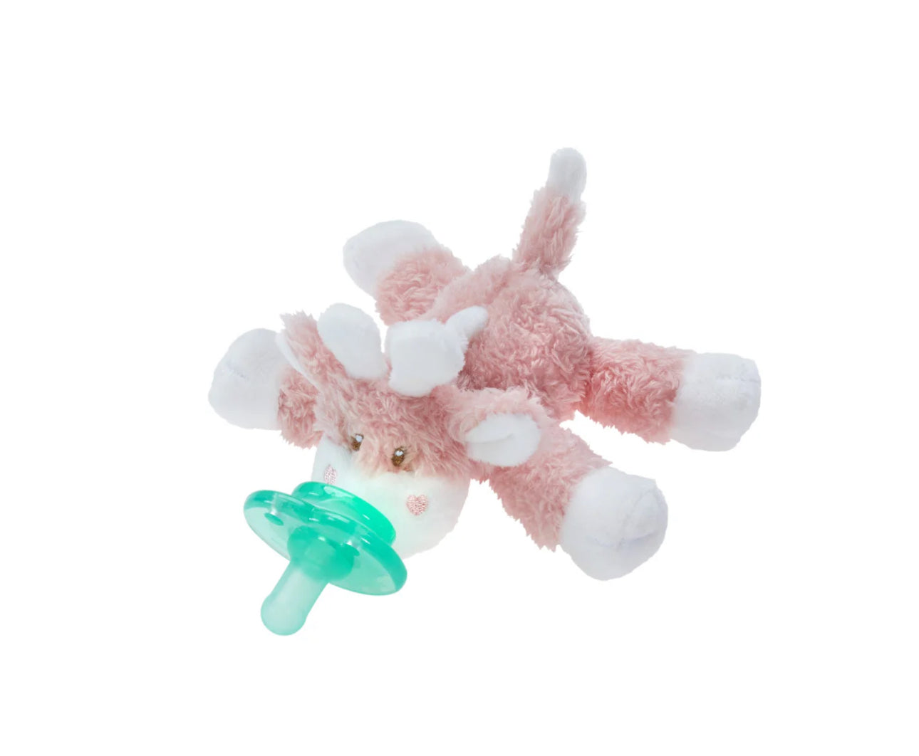 Nookums Pacis