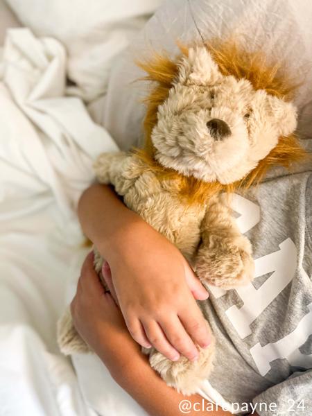 Lenny The Plush Lion