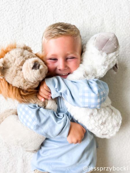 Lenny The Plush Lion