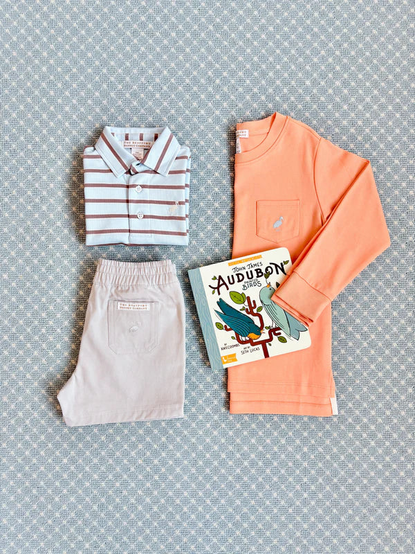 Buckhead Blue with Bay Brown Stripe Prim & Proper Polo