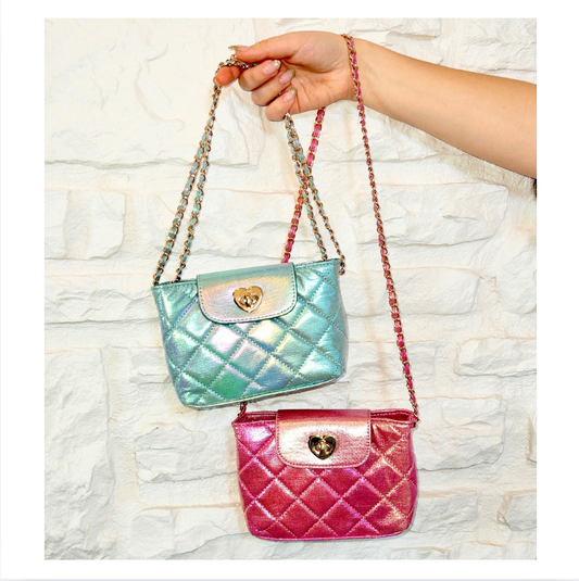 Metallic Glitter Purse