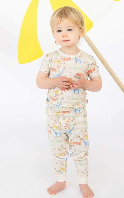 Ext-roar-dinary 2pc Pajamas