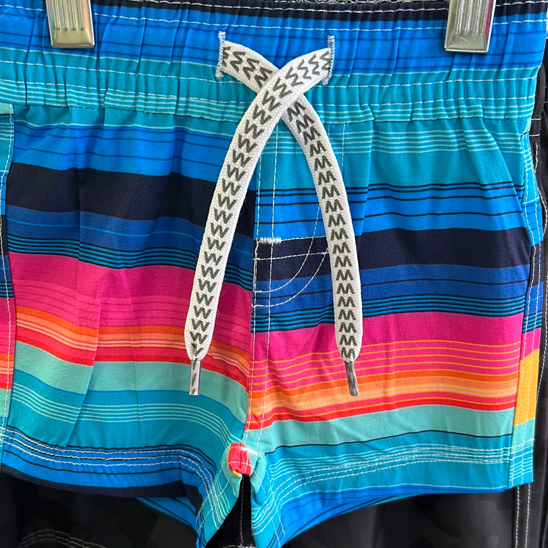 Striped Swim Trunks