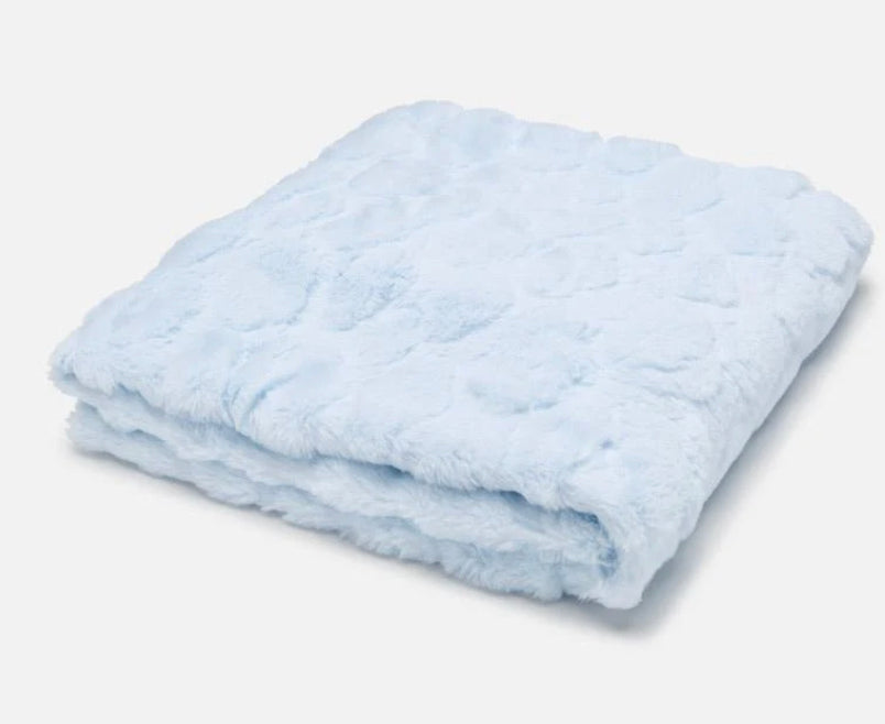 Blue Plush Blanket