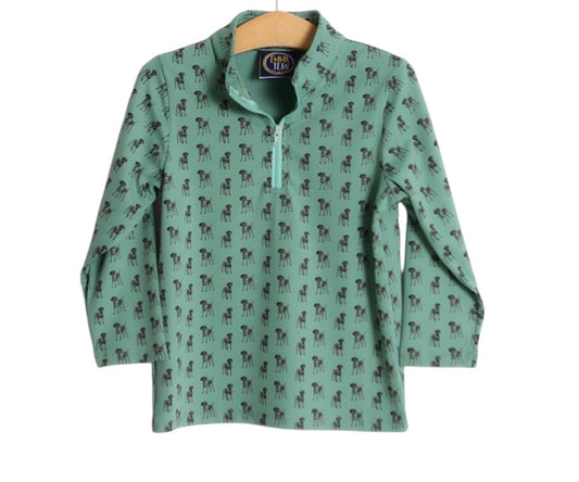 Ethan 1/4 Zip Pullover -GSP